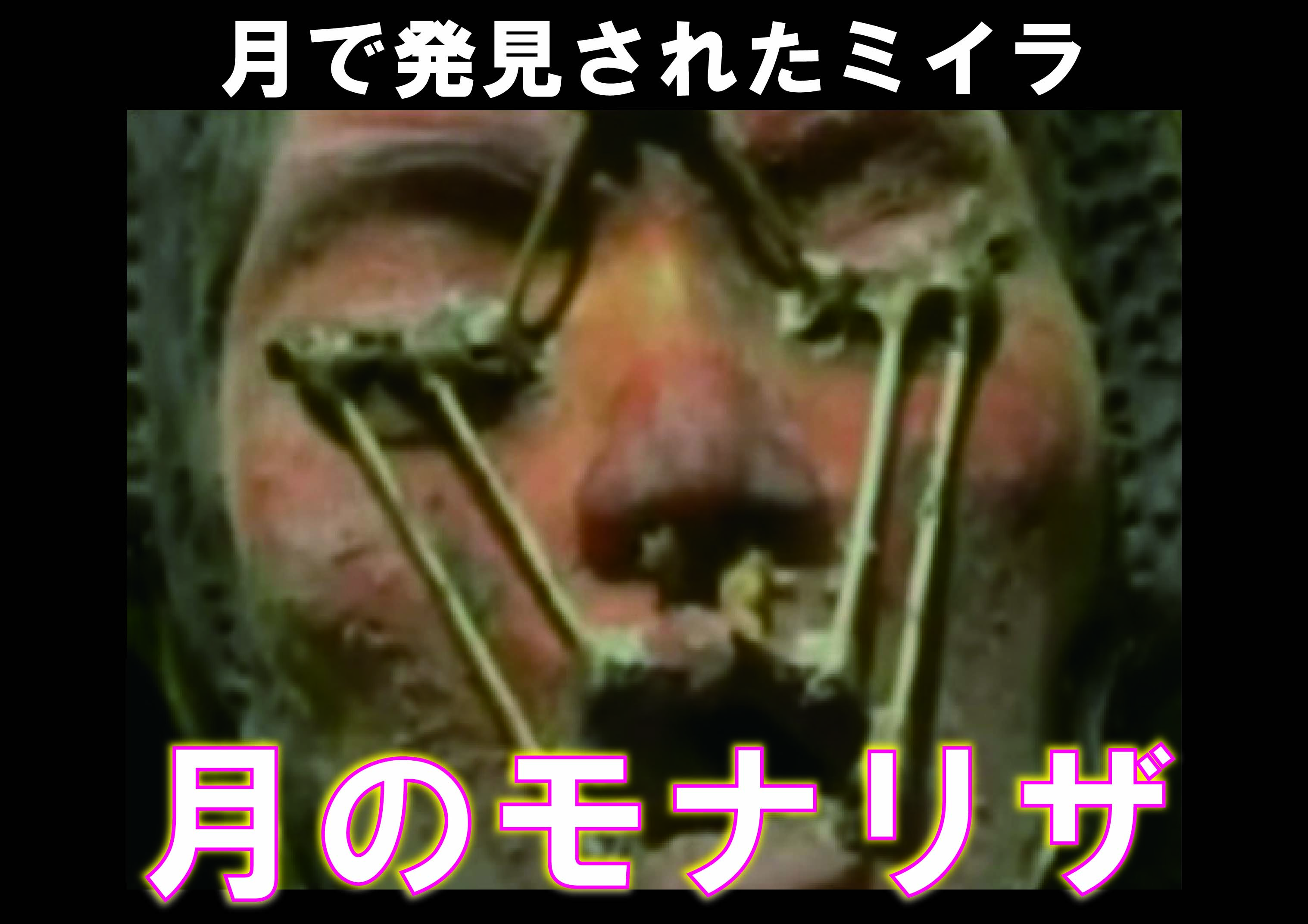 月のモナリザ