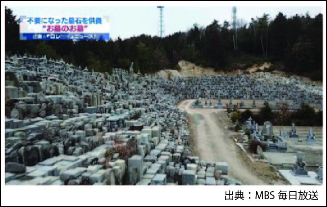 墓の墓地
