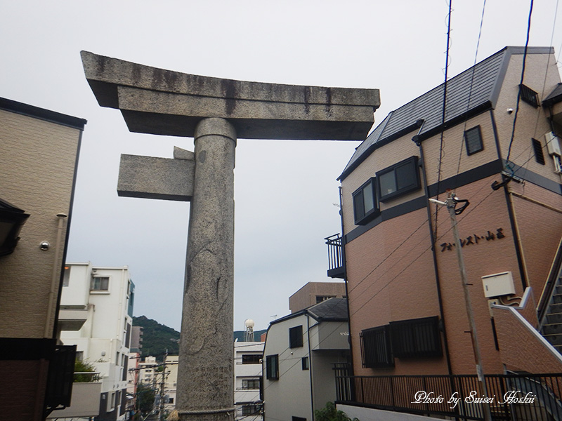 1日前半鳥居